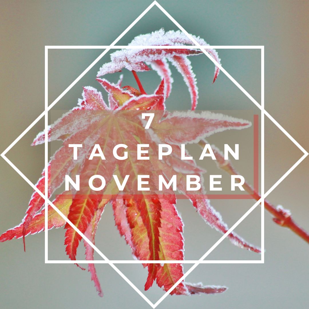 November